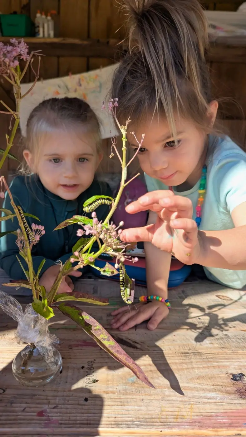 Play based learning outdoors