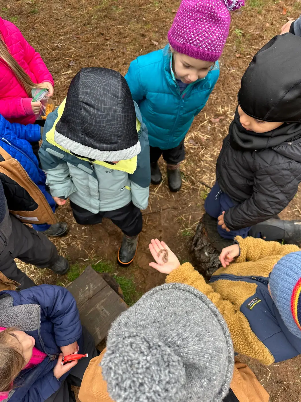Forest Preschool at Foothills Forest School