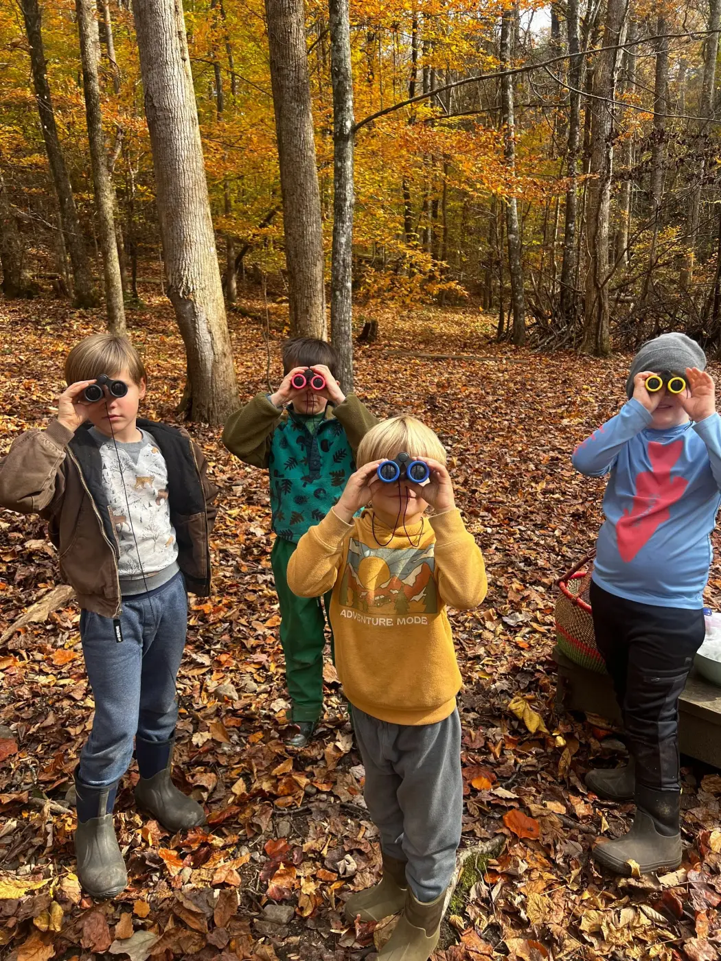 Forest K/1 outdoor classroom