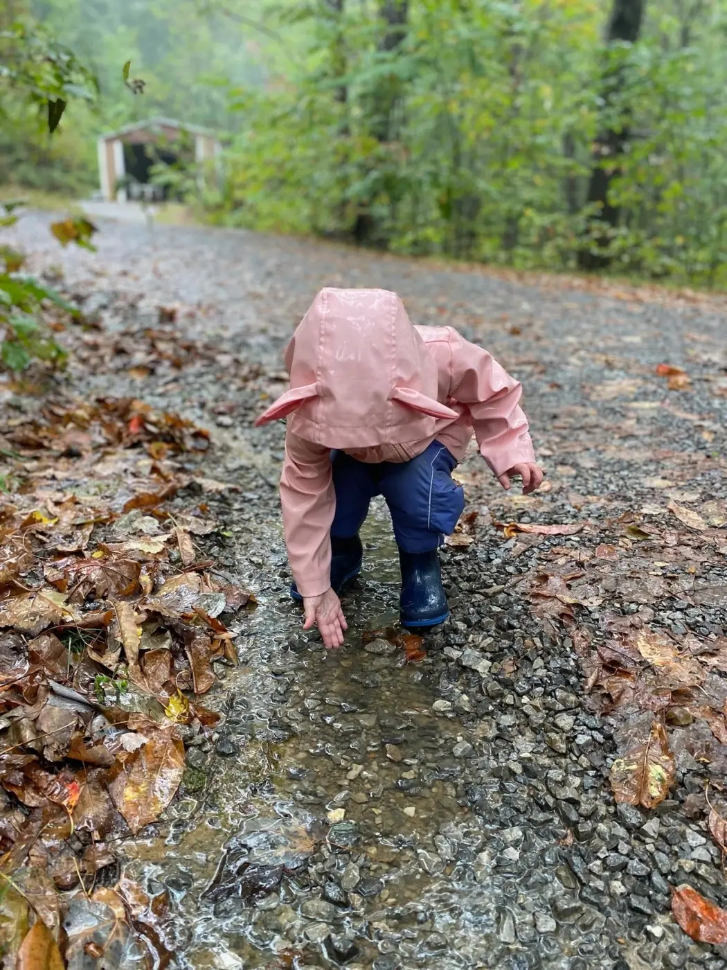 Child in raincoat explores a puddle on a gravel path surrounded by autumn leaves.